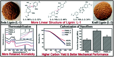 Graphical abstract: Unlocking the response of lignin structure for improved carbon fiber production and mechanical strength
