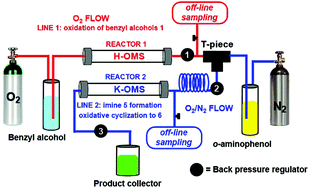 Graphical abstract: Continuous flow/waste-minimized synthesis of benzoxazoles catalysed by heterogeneous manganese systems