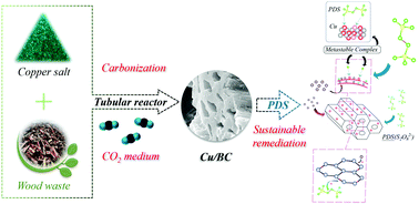 Graphical abstract: A sustainable biochar catalyst synergized with copper heteroatoms and CO2 for singlet oxygenation and electron transfer routes