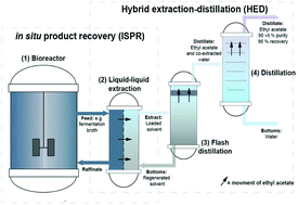 Graphical abstract: In situ product recovery of bio-based ethyl esters via hybrid extraction-distillation
