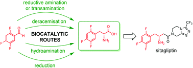 Graphical abstract: Biocatalytic retrosynthesis approaches to d-(2,4,5-trifluorophenyl)alanine, key precursor of the antidiabetic sitagliptin