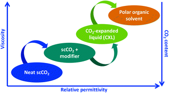 Graphical abstract: Extending the design space in solvent extraction – from supercritical fluids to pressurized liquids using carbon dioxide, ethanol, ethyl lactate, and water in a wide range of proportions