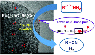 Graphical abstract: Ru@UiO-66(Ce) catalyzed acceptorless dehydrogenation of primary amines to nitriles: the roles of Lewis acid–base pairs in the reaction