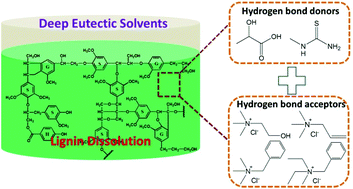 Graphical abstract: Novel deep eutectic solvents with different functional groups towards highly efficient dissolution of lignin