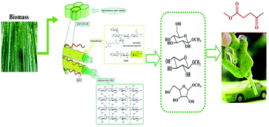 Graphical abstract: Directional synergistic conversion of lignocellulosic biomass with matching-solvents for added-value chemicals