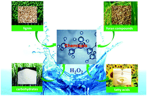 Graphical abstract: Hydrogen peroxide as an oxidant in biomass-to-chemical processes of industrial interest