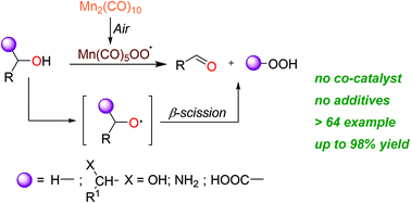 Graphical abstract: Aerobic oxidation of alcohols with air catalyzed by decacarbonyldimanganese