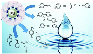 Graphical abstract: “Water soluble” palladium nanoparticle engineering for C–C coupling, reduction and cyclization catalysis