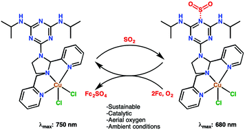 Graphical abstract: Binding enabled catalytic activation of SO2 by copper koneramine complexes under ambient conditions
