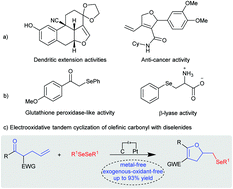 Graphical abstract: Electrochemical oxidative cyclization of olefinic carbonyls with diselenides