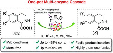 Graphical abstract: A biocatalytic redox cascade approach for one-pot deracemization of carboxyl-substituted tetrahydroisoquinolines by stereoinversion