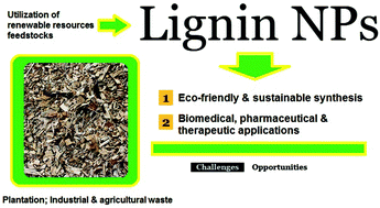 Graphical abstract: Greener synthesis of lignin nanoparticles and their applications