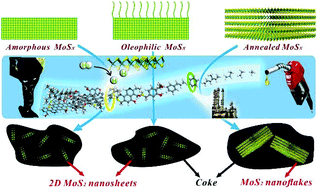 Graphical abstract: Amorphous molybdenum sulfide nanocatalysts simultaneously realizing efficient upgrading of residue and synergistic synthesis of 2D MoS2 nanosheets/carbon hierarchical structures