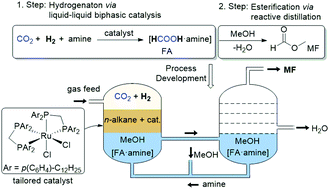 Graphical abstract: Methylformate from CO2: an integrated process combining catalytic hydrogenation and reactive distillation