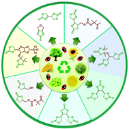 Graphical abstract: Highly regio- and stereoselective synthesis of cyclic carbonates from biomass-derived polyols via organocatalytic cascade reaction