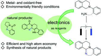 Graphical abstract: Synthesis of rutaecarpine alkaloids via an electrochemical cross dehydrogenation coupling reaction