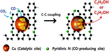 Graphical abstract: Selective electrochemical CO2 conversion to multicarbon alcohols on highly efficient N-doped porous carbon-supported Cu catalysts