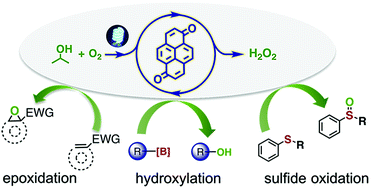 Graphical abstract: Pyrenediones as versatile photocatalysts for oxygenation reactions with in situ generation of hydrogen peroxide under visible light
