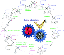 Graphical abstract: The direct synthesis of a bio-lubricant by the oligomerization of methyllinoleate via castor oil