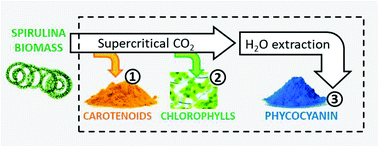 Graphical abstract: Carotenoids, chlorophylls and phycocyanin from Spirulina: supercritical CO2 and water extraction methods for added value products cascade