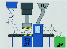 Graphical abstract: Continuous flow synthesis of menthol via tandem cyclisation–hydrogenation of citronellal catalysed by scrap catalytic converters