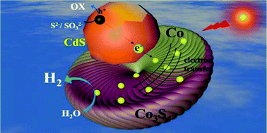 Graphical abstract: A novel bicomponent Co3S4/Co@C cocatalyst on CdS, accelerating charge separation for highly efficient photocatalytic hydrogen evolution