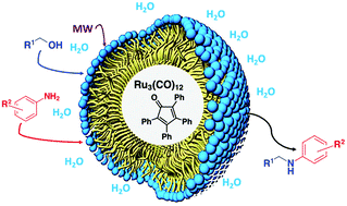 Graphical abstract: In water alkylation of amines with alcohols through a borrowing hydrogen process catalysed by ruthenium nanoparticles