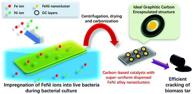 Graphical abstract: Graphitic carbon embedded with Fe/Ni nano-catalysts derived from bacterial precursor for efficient toluene cracking