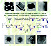 Graphical abstract: Sulfonated dendritic mesoporous silica nanospheres: a metal-free Lewis acid catalyst for the upgrading of carbohydrates