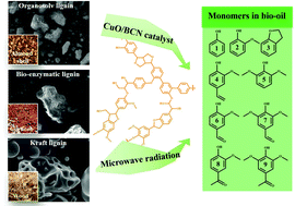 Graphical abstract: Microwave-assisted depolymerization of various types of waste lignins over two-dimensional CuO/BCN catalysts