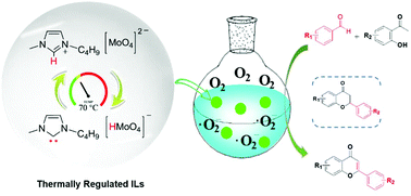 Graphical abstract: Thermally regulated molybdate-based ionic liquids toward molecular oxygen activation for one-pot oxidative cascade catalysis