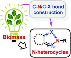 Graphical abstract: Cycloamination strategies for renewable N-heterocycles