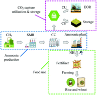 Graphical abstract: The potential of decarbonising rice and wheat by incorporating carbon capture, utilisation and storage into fertiliser production