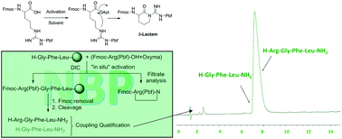 Graphical abstract: Successful development of a method for the incorporation of Fmoc-Arg(Pbf)-OH in solid-phase peptide synthesis using N-butylpyrrolidinone (NBP) as solvent