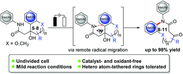 Graphical abstract: Catalyst-free, direct electrochemical synthesis of annulated medium-sized lactams through C–C bond cleavage