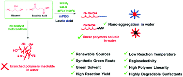 Graphical abstract: Enzymatic one-pot synthesis of renewable and biodegradable surfactants in supercritical carbon dioxide (scCO2)