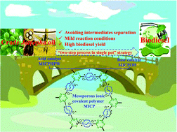 Graphical abstract: Synergetic combination of a mesoporous polymeric acid and a base enables highly efficient heterogeneous catalytic one-pot conversion of crude Jatropha oil into biodiesel