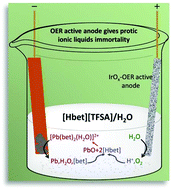 Graphical abstract: An excellent anode renders protic ionic liquids sustainable in metal electrodeposition