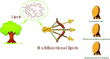 Graphical abstract: Synthesis of lignin-functionalized phenolic nanosphere supported Ag nanoparticles with excellent dispersion stability and catalytic performance