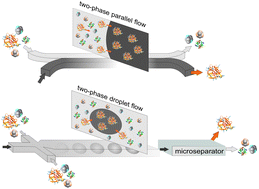 Graphical abstract: Separation and purification of biomacromolecules based on microfluidics