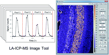 Graphical abstract: A new freeware tool for image processing and its application to high speed LA-ICP-MS imaging