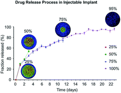Graphical abstract: Direct visualization of drug release in injectable implant by laser induced breakdown spectroscopy (LIBS)
