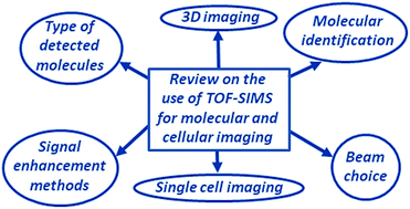 Graphical abstract: A concise tutorial review of TOF-SIMS based molecular and cellular imaging