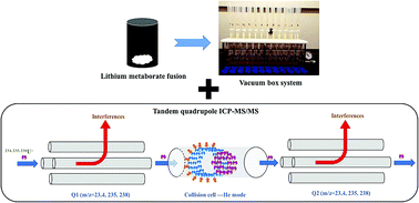 Graphical abstract: Rapid determination of uranium isotopes in calcium fluoride sludge by tandem quadrupole ICP-MS/MS