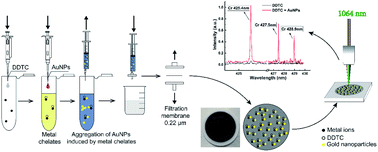 Graphical abstract: Metal-chelate induced nanoparticle aggregation enhanced laser-induced breakdown spectroscopy for ultra-sensitive detection of trace metal ions in liquid samples