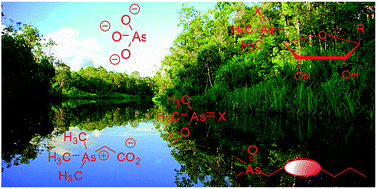 Graphical abstract: Arsenic speciation analysis of environmental samples