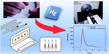 Graphical abstract: A simple and direct atomic absorption spectrometry method for the direct determination of Hg in dried blood spots and dried urine spots prepared using various microsampling devices