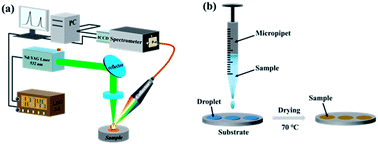 Graphical abstract: The pH effect on the detection of heavy metals in wastewater by laser-induced breakdown spectroscopy coupled with a phase transformation method