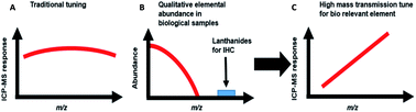 Graphical abstract: Matching sensitivity to abundance: high resolution immuno-mass spectrometry imaging of lanthanide labels and endogenous elements in the murine brain