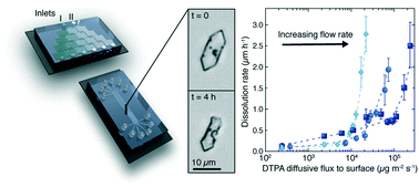 Graphical abstract: A microfluidic approach for probing hydrodynamic effects in barite scale formation
